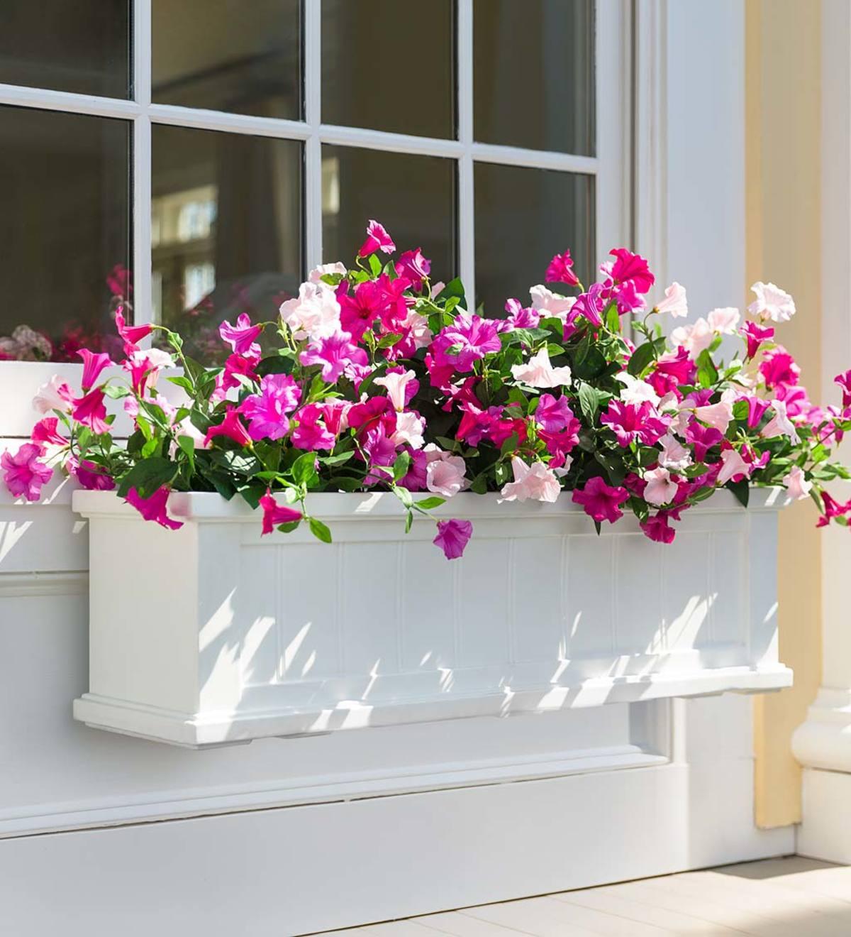 Beautiful Recipes for Window Boxes in Shade - Très Elite