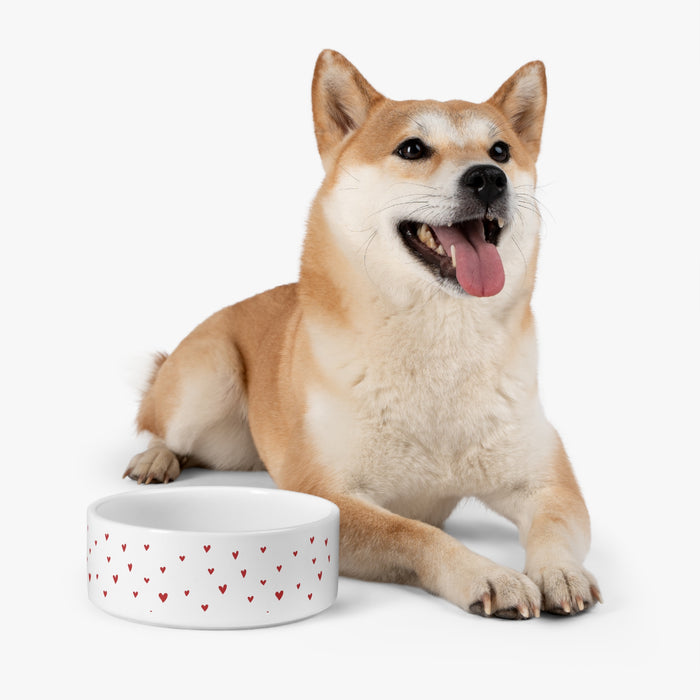 Customized Artisan Ceramic Pet Bowl with Unique Printed Design