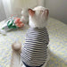 Cozy Cat & Pup Striped Winter Vest