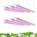 Spider Farmer 40W UV IR LED Grow Light Bars: Boost Indoor Plant Growth for Maximum Harvests