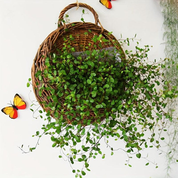 Rustic Blue Rattan Flower Wall Basket for Real or Faux Blooms