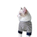 Cozy Cat & Pup Striped Winter Vest