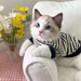 Cozy Cat & Pup Striped Winter Vest