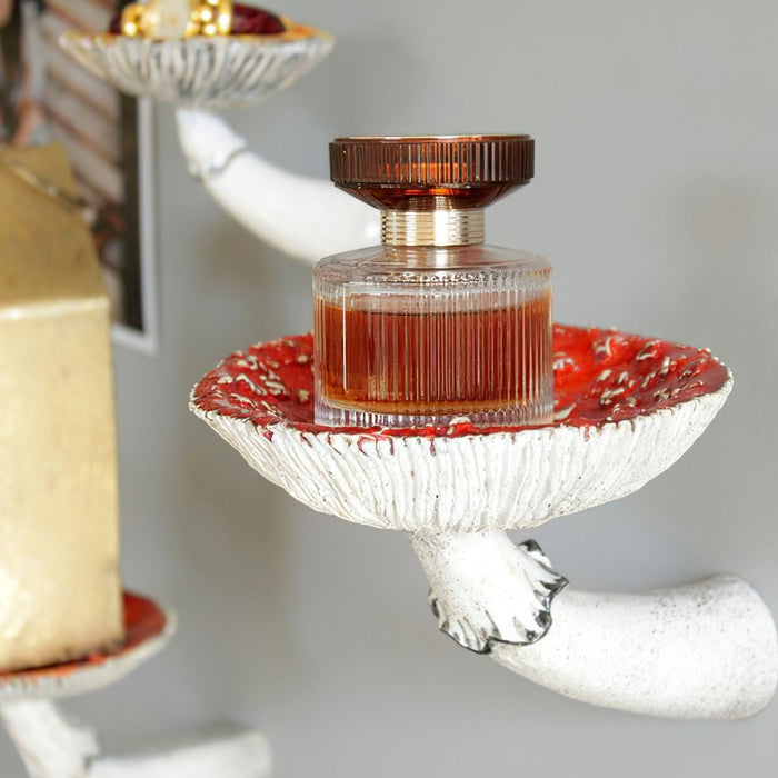 Enchanting Mushroom Cloud Hanging Shelf - Unique Decorative Storage Piece