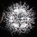 Elegant Modern LED Crystal Dandelion Chandelier - Stylish Lighting Solution for Home