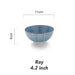 Elegant Japanese Ceramic Ramen and Soup Bowl Set