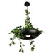 Modern Adjustable Iron LED Plant Pendant Lamp - Stylish Indoor Hanging Light for Home Decor