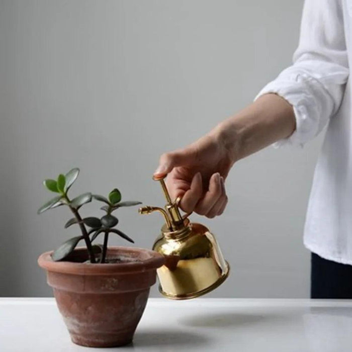 Elegant Brass Succulent Mister Set - Sleek Mini Watering Can with Polished Finish