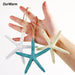 Ocean-Inspired DIY Starfish Craft Kit - 10 Resin Finger Starfish in Serene Coastal Colors