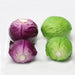 Lifelike Plastic Cabbage Decoration - Premium Quality Vegetable Replica