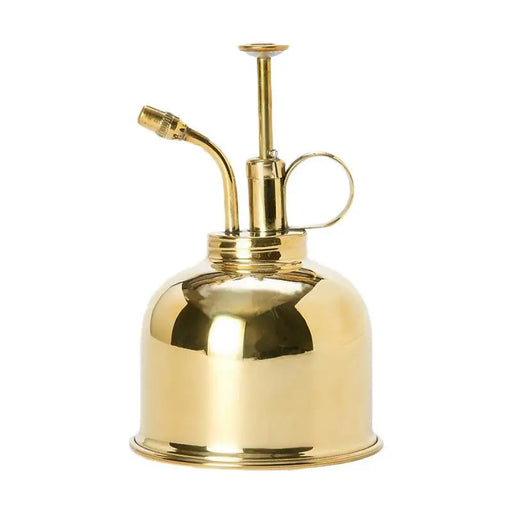 Mini Brass Watering Can Set - Elegant Succulent Mister with Polished Finish