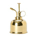 Elegant Brass Succulent Mister Set - Sleek Mini Watering Can with Polished Finish