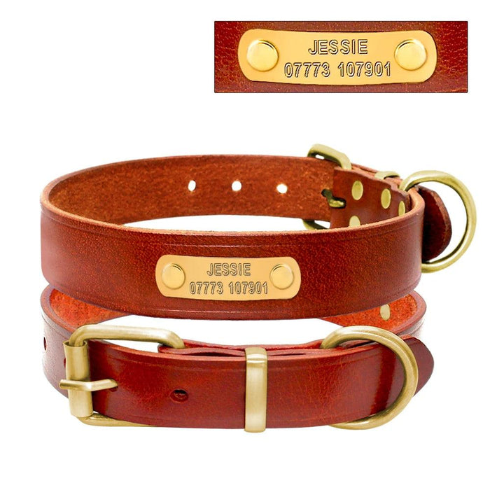 Custom Engraved Leather Dog Collar for Small to Medium Breeds - Personalized with Name and Contact Information