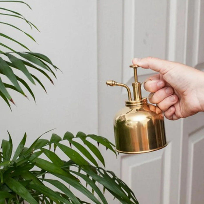 Elegant Brass Succulent Mister Set - Sleek Mini Watering Can with Polished Finish