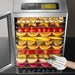 12-Tier Electric Dehydrator with Built-in Meat Grinder for Superior Food Preservation