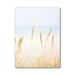 Tranquil Coastal Oasis Canvas Prints for Home and Office Decor