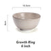 Elegant Japanese Ceramic Ramen and Soup Bowl Set