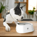 Artisanal Ceramic Pet Bowl with Stylish Decorative Print