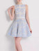 Sleeveless Lace Mini Dress with Hollow Out Embroidery for Women's Summer Events 2024