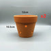 Set of 2 Stylish Red Terracotta Hanging Pots with Drainage for Succulents and Cacti