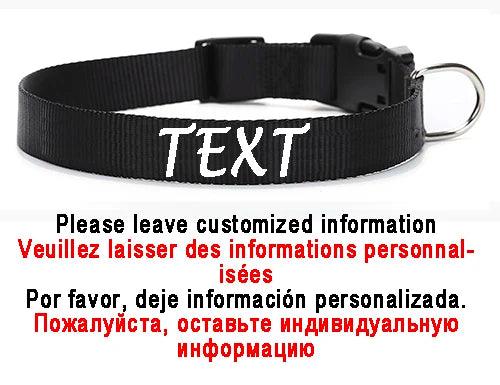 Personalized Nylon Dog ID Collar – Custom Name & Contact Info for Every Dog Breed