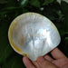 Elegant Yellow Abalone Pearl Smudge Bowl for Spiritual Practices and Crafting