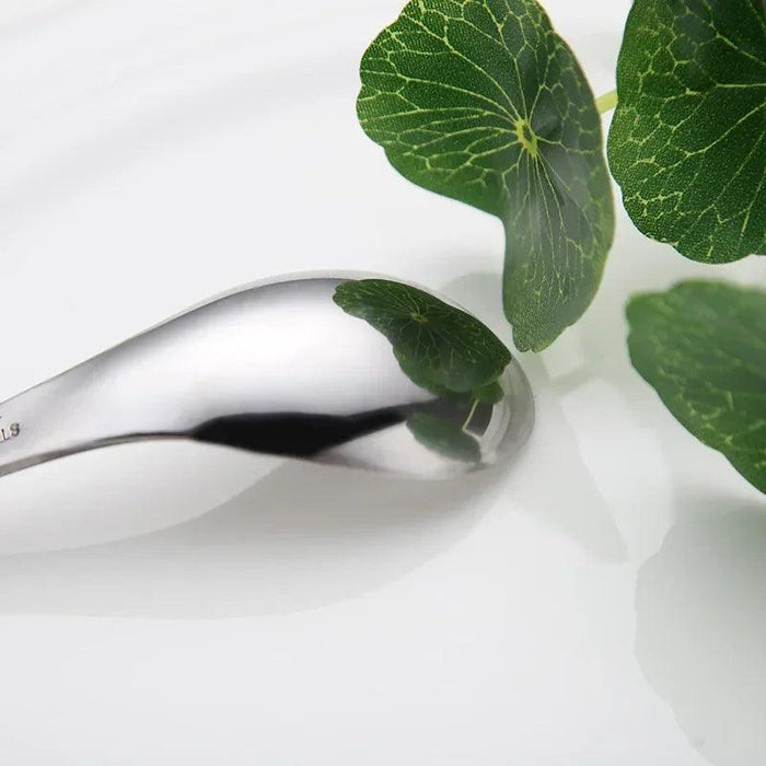 Elegant Multifunctional Japanese Stainless Steel Spoon for Soups, Desserts, and Beverages