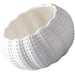 Chic White Sea Urchin Ceramic Dipping Bowl - Essential Dining Accessory