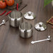 Kitchen Spice Jar Set with Stainless Steel Seasoning Containers and Dispenser - Includes Spoon and Salt & Pepper Bottles