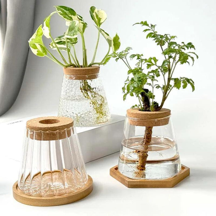 Chic Hydroponic Glass Vase - Modern Mini Planter for Stylish Home Decor