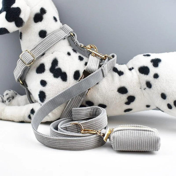 Personalized Light Grey Corduroy Dog Collar and Leash Set with Stylish Accessories