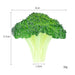 Lifelike Broccoli Decoration - Perfect for Seasonal Displays and Culinary Settings