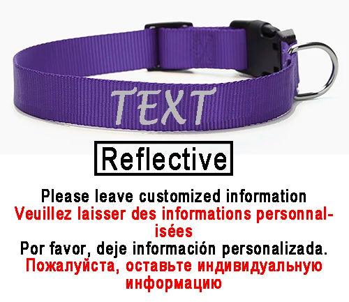 Personalized Nylon Dog ID Collar – Custom Name & Contact Info for Every Dog Breed