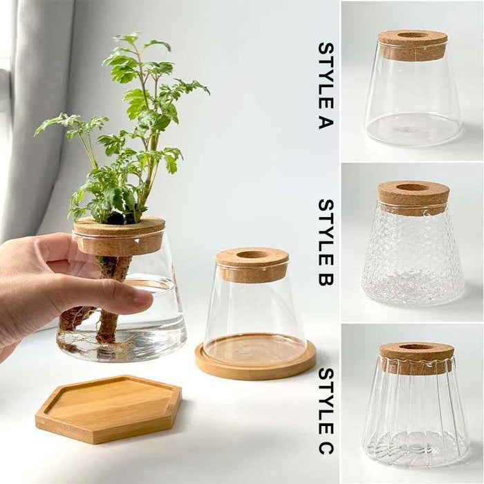 Chic Hydroponic Glass Vase - Modern Mini Planter for Stylish Home Decor