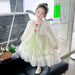 Enchanted Floral Tulle Princess Dress for Girls with Long Sleeves