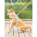 Reflective Adjustable Pet Harness and Leash Set - Breathable Vest for Small to Medium Dogs and Cats