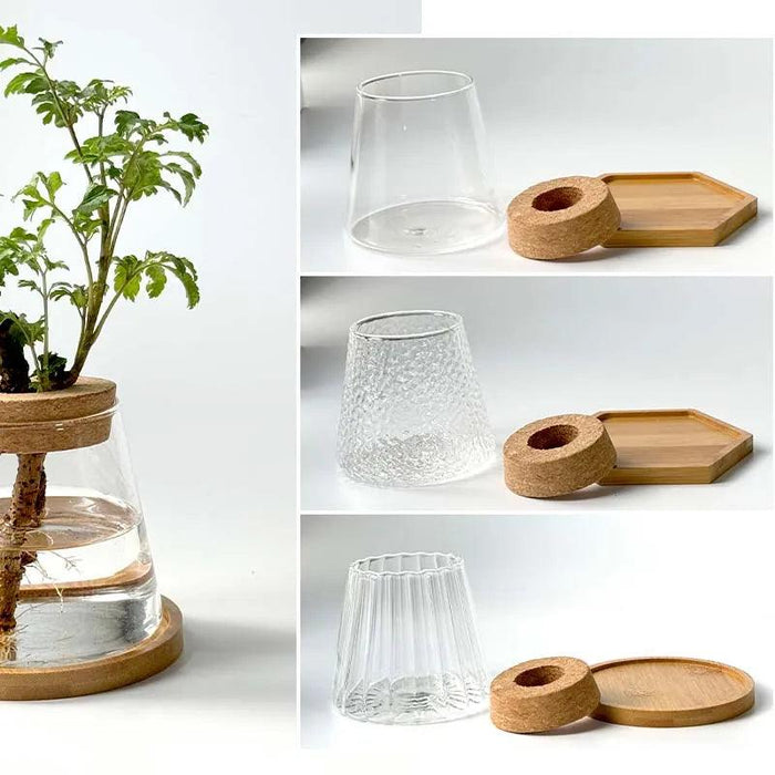 Chic Hydroponic Glass Vase - Modern Mini Planter for Stylish Home Decor