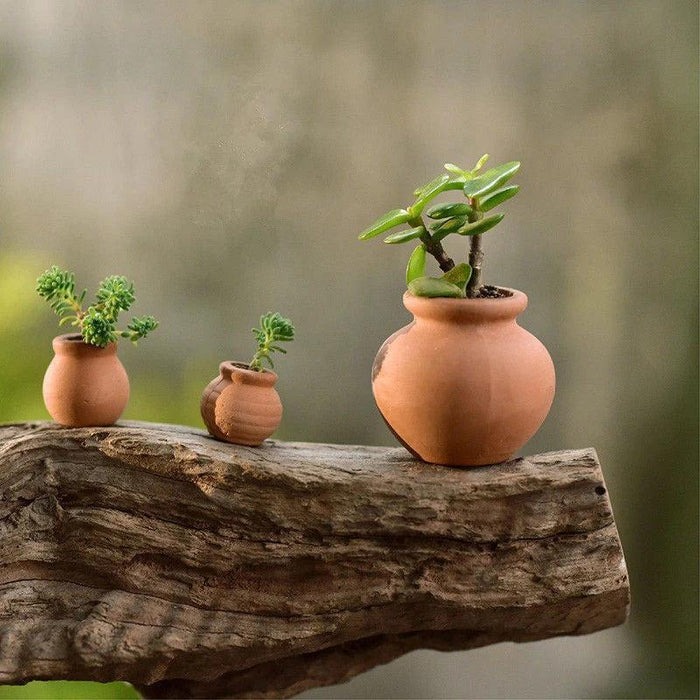 Artistic Terracotta Planter Set - Ideal for Succulents and Creative Projects