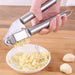 Versatile Stainless Steel Garlic Mincer and Veggie Chopper Set for Effortless Meal Prep