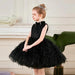 Fairy Tale Sequin and Feather Princess Dress for Girls