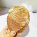 Exquisite Natural New Zealand Abalone Shells for Elegant Decor and Creative Crafts (12-16CM)