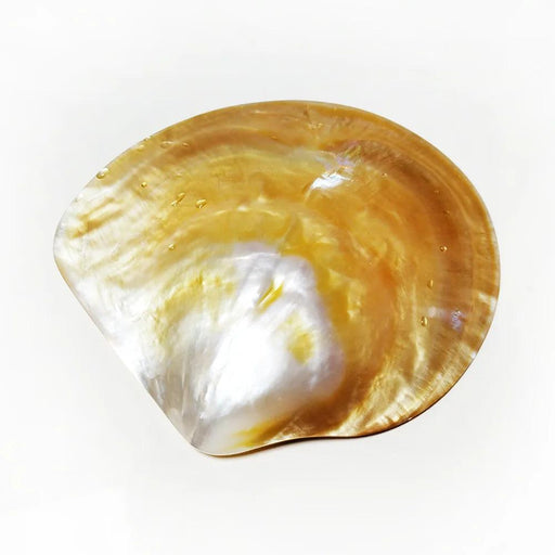 Elegant Yellow Abalone Pearl Smudge Bowl for Spiritual Practices and Crafting