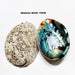 Stunning New Zealand Abalone Shell - 12-16CM Ideal for Weddings, Aquatic Displays, and Creative Crafts