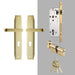 Luxurious PVD Gold and Chrome Double Lever Door Handle Set for Bedrooms and Bathrooms