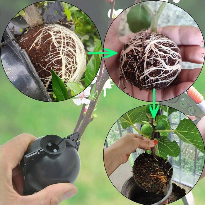 10-Pack Reusable Plant Rooting Spheres for Seamless Air Layering and Propagation