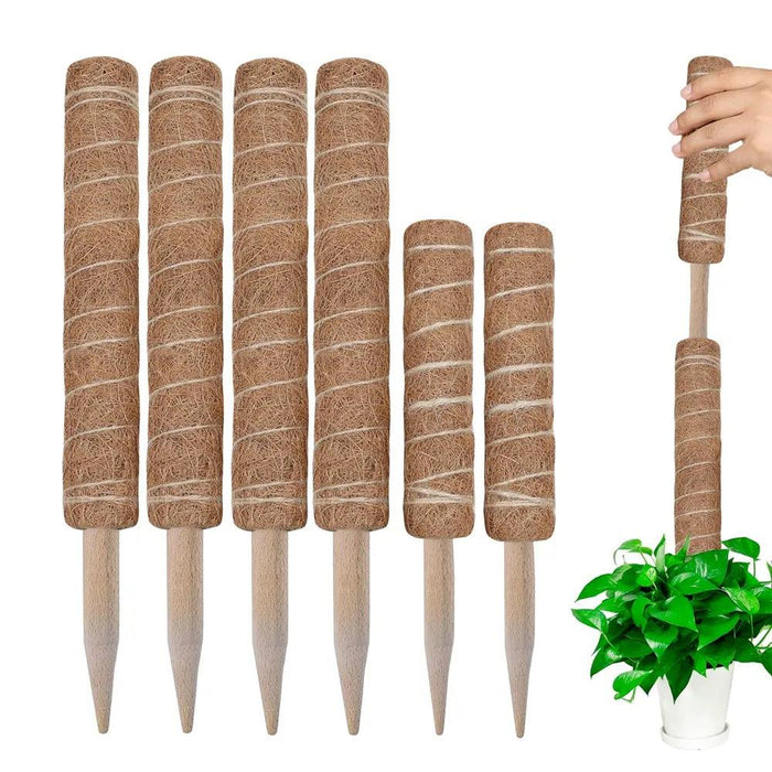 Vertical Garden Climbing Support Kit - Eco-Friendly Growth Solution for Indoor Plants