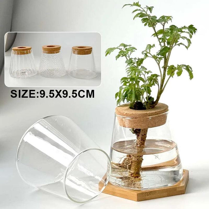 Chic Hydroponic Glass Vase - Modern Mini Planter for Stylish Home Decor