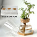 Chic Hydroponic Glass Vase - Modern Mini Planter for Stylish Home Decor