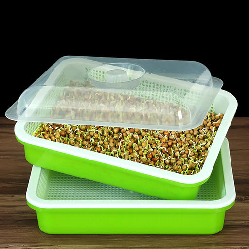 Sustainable Home Sprout Growing Kit - Easy Green & White Seed Tray Solution