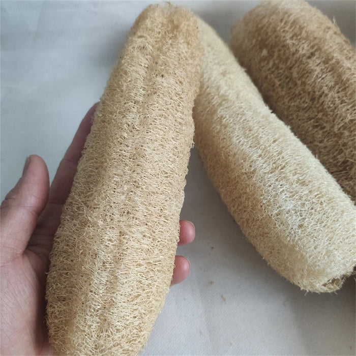 Natural Loofah Bath and Kitchen Scrubber Sponge